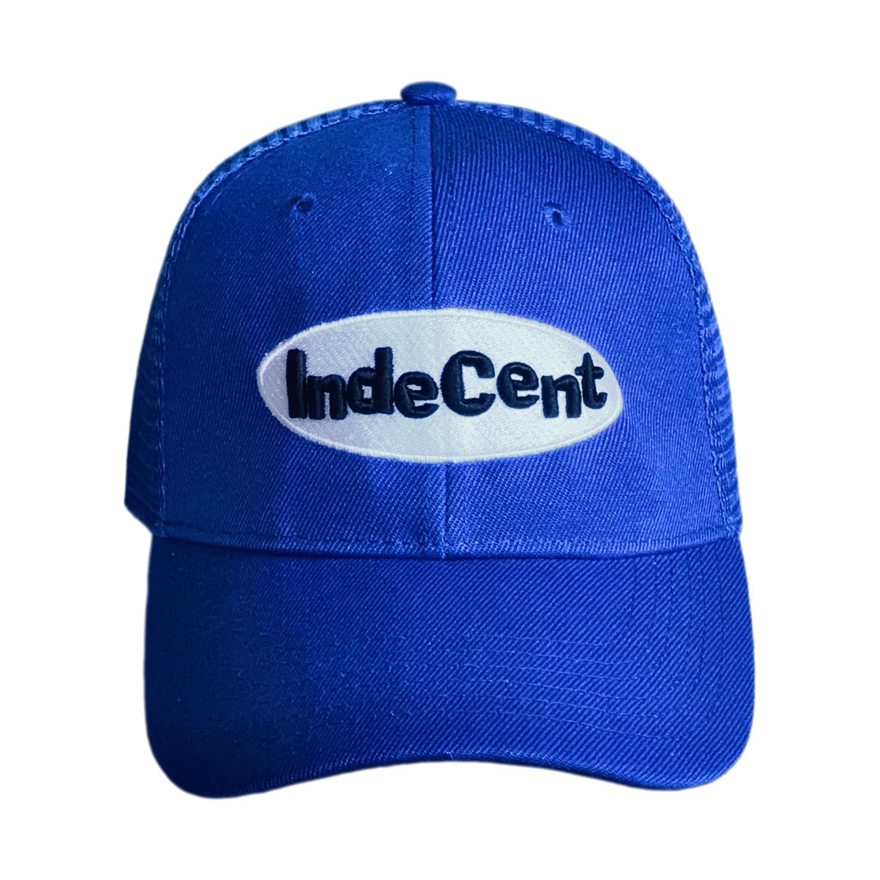 INDECENTLY CLUELESS 3D Logo Snapback Cap