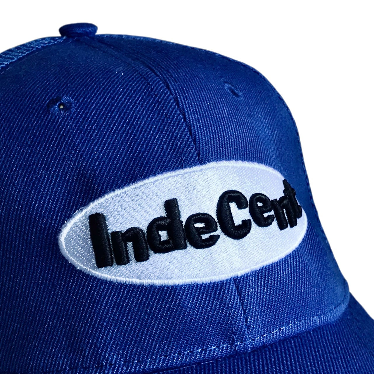 INDECENTLY CLUELESS 3D Logo Snapback Cap