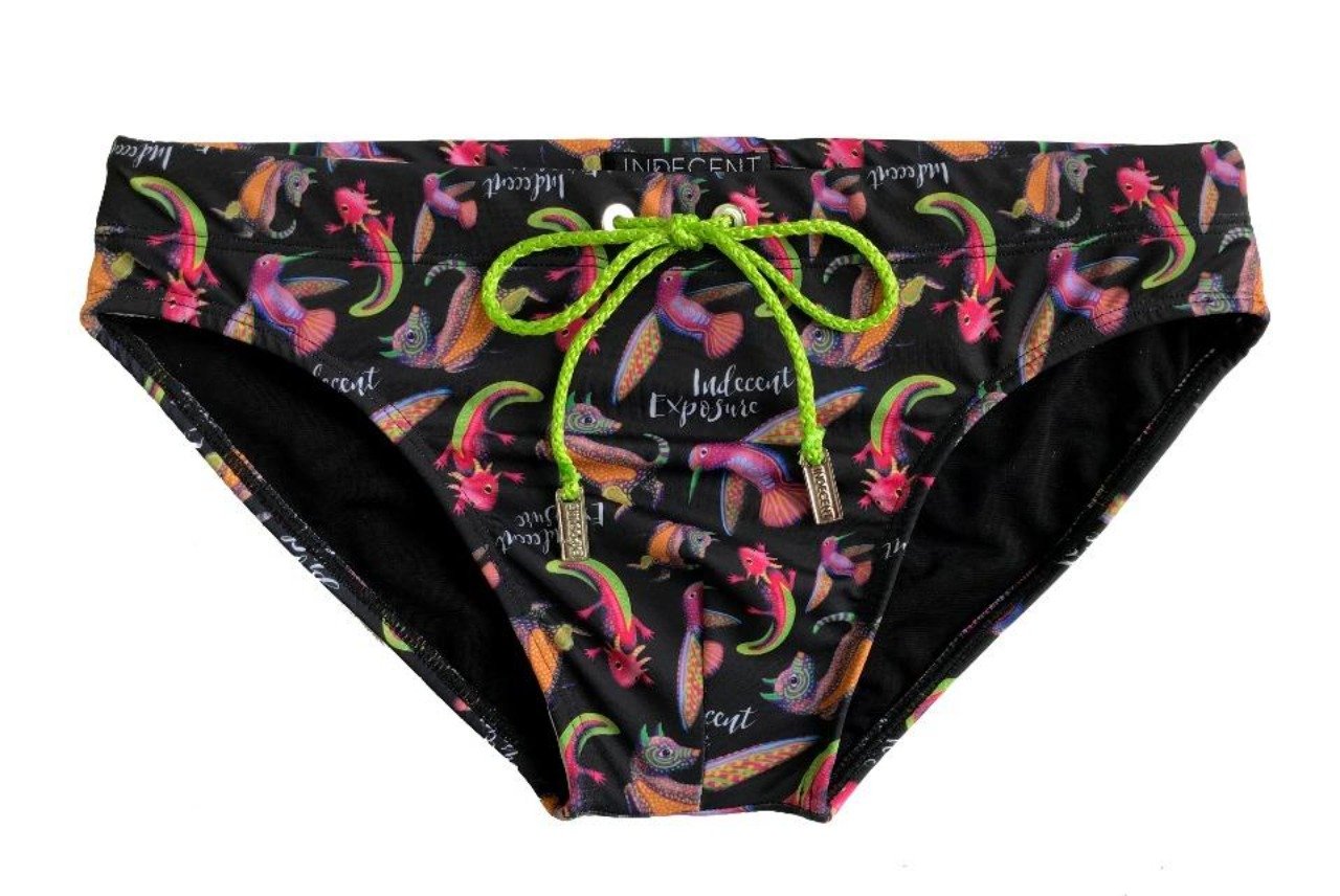 Alebrijes Swim Brief