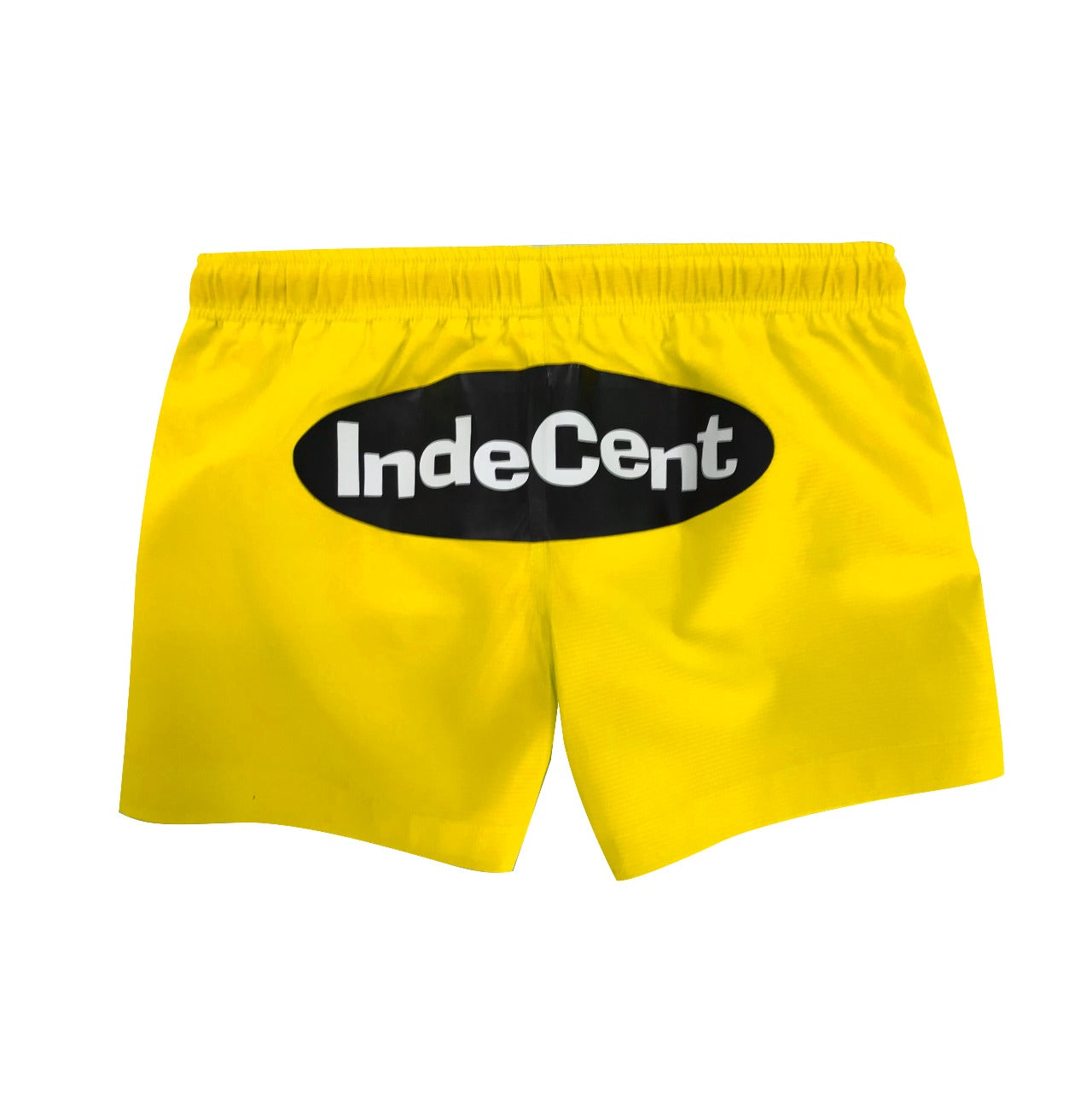 INDECENTLY CLUELESS Swim Short